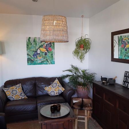 Casa Para Ti - Botanica Пуерто дел Кармен Екстериор снимка